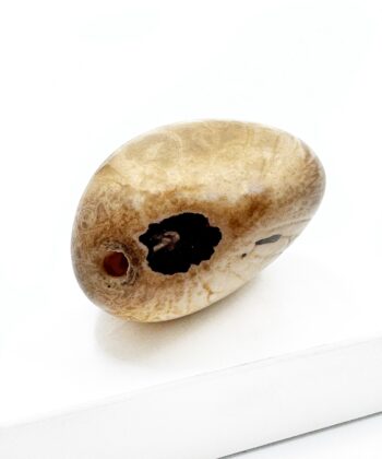 Elfenbens Nød - poleret - UNIKA