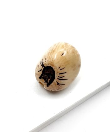 Elfenbens Nød - poleret - UNIKA