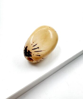 Elfenbens Nød - poleret - UNIKA