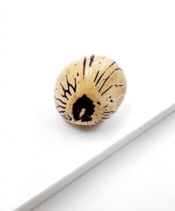 Elfenbens Nød - poleret - UNIKA