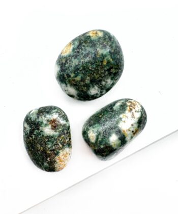 Preseli Bluestone - Lommesten