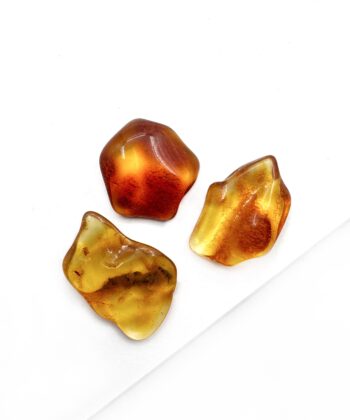 Rav, Lommesten lille